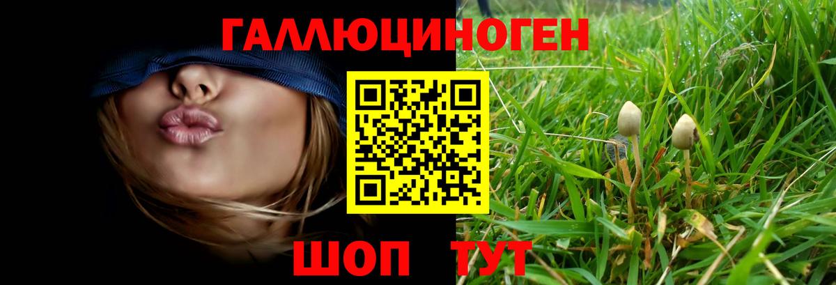 где купить наркоту  Вход с VPN  Галлюциногенные грибы MAGIC MUSHROOMS  Ставрополь  Псилоцибиновые грибы ЛСД 